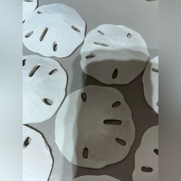 SAND-DOLLAR COLLECTION (NOT REAL) - Picture 8 of 8